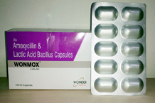 	capsule wonmox amoxycillin lactic acid.jpg	